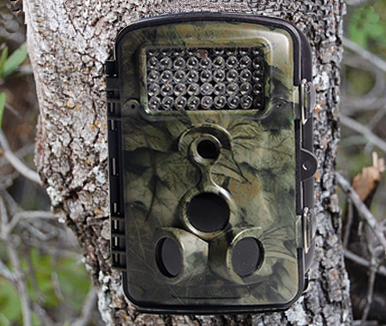 Camera caça