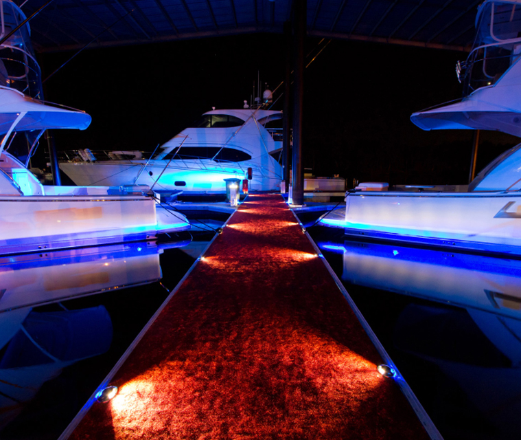 foco led terra